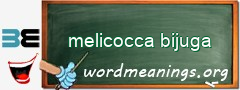 WordMeaning blackboard for melicocca bijuga